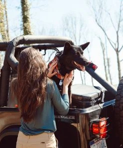 Mountain Khakis Women’s Camber Short